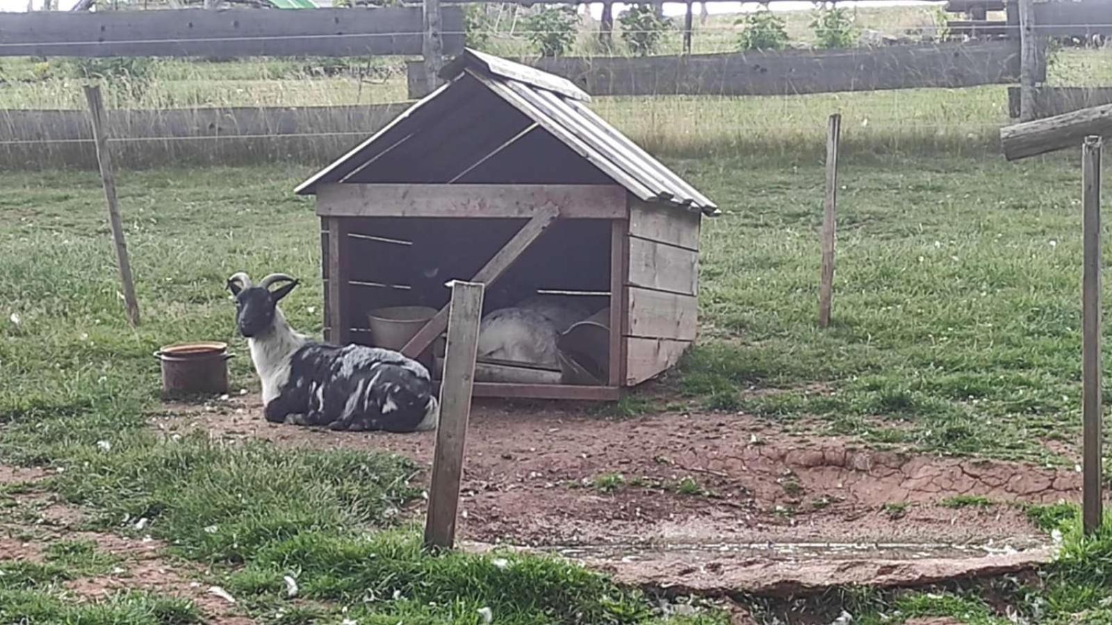 Apartmán na statku Červený Kostelec Cervený Kostelec Exterior foto