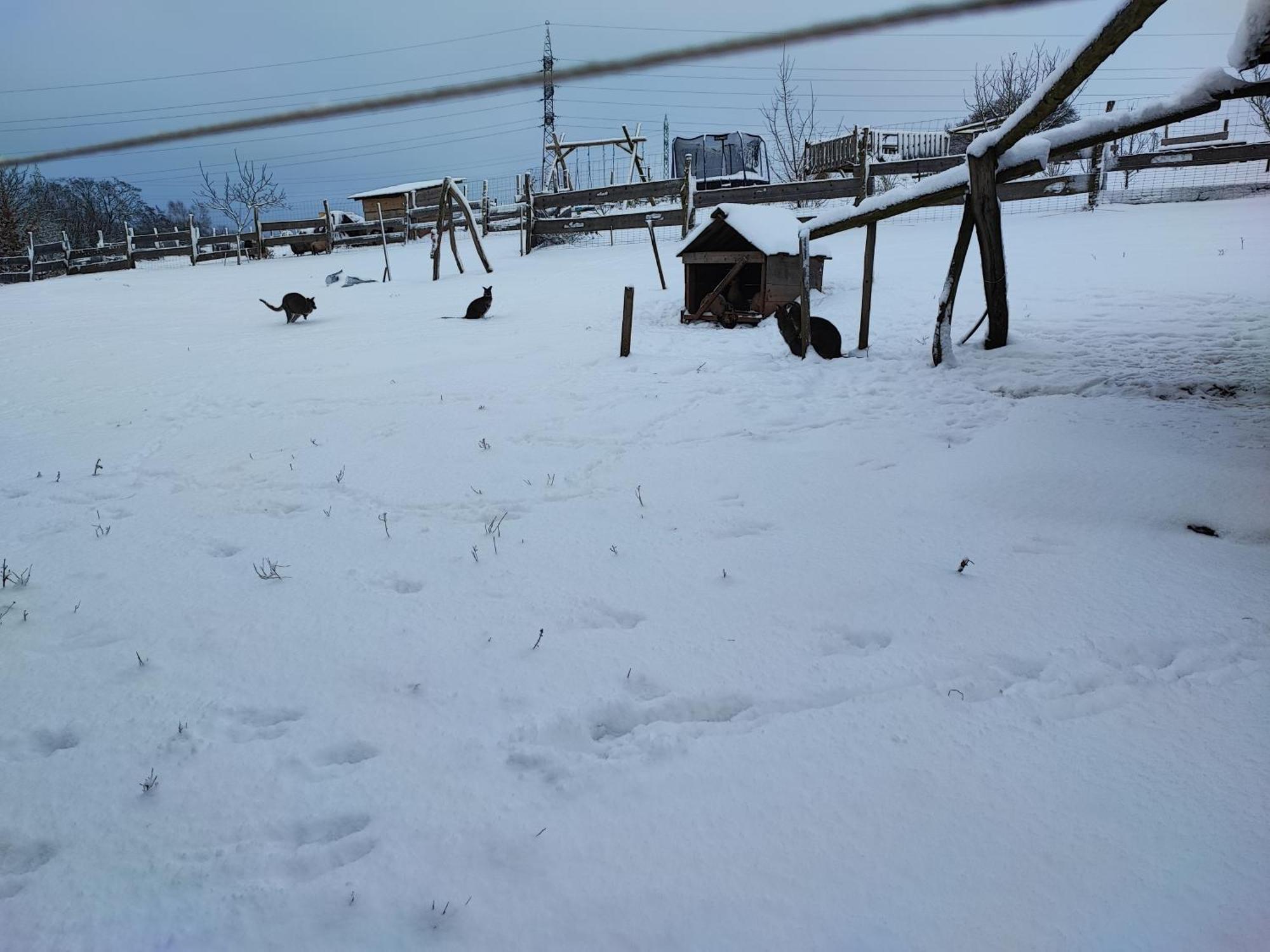 Apartmán na statku Červený Kostelec Cervený Kostelec Exterior foto